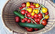 Gemüse im Korb, Foto: WaldWeiberWissen, Lizenz: WaldWeiberWissen