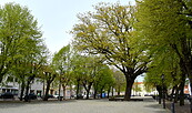 Marktplatz Storkow, Foto: Tourismusverein Scharmützelsee, Lizenz: Tourismusverein Scharmützelsee
