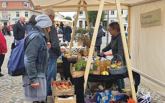 Regional und kreativ – großer Markttag in Zehdenick
