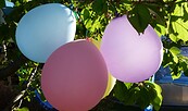 Luftballons, Foto: Petra Förster, Lizenz: Tourismusverband Dahme-Seenland e.V.