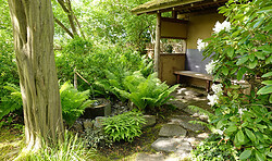 Der japanische Garten in Bartschendorf