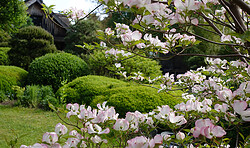 Japanischer Garten in Bartschendorf