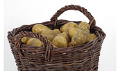 Weidenkorb mit Kartoffeln, Foto: André Wagenzik, Lizenz: Brandenburg-Preußen Museum