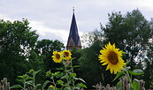 Kirche Friedersdrof mit Sonnenblumen, Foto: Karoline Tiepner, Lizenz: Karoline Tiepner