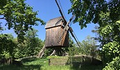 Bockwindmühle Gatow Spandau, Foto: Groeschel, Lizenz: Groeschel