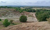 Ein Exkursionsziel: „Naturschutzgebiet Wiesław Czyżewski - Heidelandschaft von Zehnden“, Foto: Marcin Dziubek