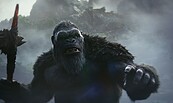 Godzilla x Kong, Foto: Warner Bros., Lizenz: Warner Bros.