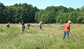 Sensenkurs, Foto: Sarah Mamerow, Lizenz: Naturpark Schlaubetal