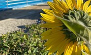 Sommerliches Freibad Schwarze Pumpe, Foto: R. Spexard, Lizenz: Stadt Spremberg