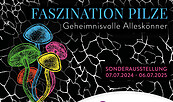 Faszination Pilze, Foto: Jeannine Schneider, Lizenz: Barnim Panorama