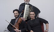 Suzanna (voc) - Yakov Geller (viola) - Gerhard A. Schiewe (acc), Foto: Foto: P. Romo