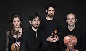 Noga Quartett, Foto: Promo