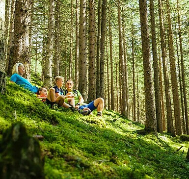 Waldwunderbare Familien Auszeit.