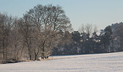 Winterlandschaft bei Niemegk, Foto: Steffen Bohl, Lizenz: Steffen Bohl