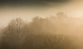 Rabenstein im Nebel, Foto: Steffen Bohl, Lizenz: Steffen Bohl