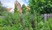 Bürgergarten mit Blick auf die Kirche, Foto: Janina Warnei, Lizenz: Tourismusverein Angermünde e.V.