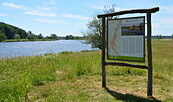 Infotafel im Nationalpark Unteres Odertal, Foto: Anja Warning, Lizenz: tmu GmbH