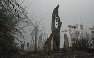 Nebel bedeutet Leben, Foto: Ute Bernhardt, Lizenz: Ute Bernhardt