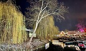 Weihnachten Hafen Burg , Foto: Lars Springer , Lizenz: Lars Springer