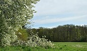 Tiergarten, Foto: Petra Förster, Lizenz: Tourismusverband Dahme-Seenland e.V.