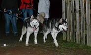 Lichterwanderung 3, Foto: Sabine Kühn