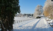 Winter Scharmützelsee, Foto: Tourismusverein Scharmützelsee, Lizenz: Tourismusverein Scharmützelsee