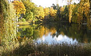 Karpfenteich im Herbst, Foto: Ute Bernhardt, Lizenz: Ute Bernhardt