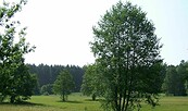 Wanderweg, Foto: Petra Förster, Lizenz: Tourismusverband Dahme-Seenland e.V.