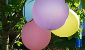 Luftballons, Foto: Petra Förster, Lizenz: Tourismusverband Dahme-Seenland e.V.