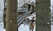 Baumhaus, Foto: Jeannine Schneider, Lizenz: Barnim Panorama