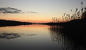 Abendstimmung am See, Foto: Ricarda Rath, Lizenz: Naturwacht Brandenburg