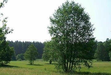 Wanderung zum Stein der Weisen