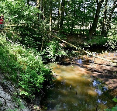 RangerTour: Die Alte Dahme - kleiner, lebendiger Fluss