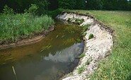 Alte Dahme Prall- und Gleithang, Foto: Olaf Meißner, Lizenz: NaturSchutzFonds Brandenburg