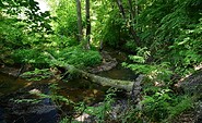 Blick vom Eichberg auf Dahmemäander, Foto: Olaf Meißner, Lizenz: NaturSchutzFonds Brandenburg