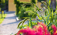 Gartenkräuter sind im Neuzeller Barockgarten ebenfalls zu finden., Foto: Bernd Geller, Lizenz: Arbeitskreis Gartenkultur