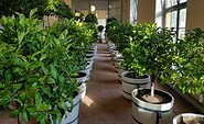 Sonderführung in der Orangerie, Foto: Mainz, Lizenz: Stiftung Stift Neuzelle