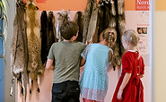 Wie fühlen sich die unterschiedlichen Tierfelle an?, Foto: D. Marschalsky, Lizenz: Naturkundemuseum Potsdam