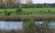 Landschaftspfleger sind nicht immer versteckt, Foto: Andreas Lauter, Lizenz: NaturSchutzFonds Brandenburg