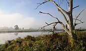 Auenlandschaft am Morgen, Foto: Milena Kreiling, Lizenz: Naturschutzfonds Brandenburg