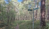 Wanderweg Calauer Schweiz, Foto: Daniela Drechsler, Lizenz: Naturschutzfonds Bbg.