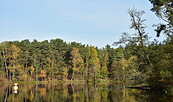 Huschtesee, Foto: Sandra Fonarob, Lizenz: Tourismusverband Dahme-Seenland e.V.