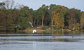 Todnitzsee mit Fisch- und Silberreiher, Foto: Sonja Betker, Lizenz: Tourismusverband Dahme-Seenland e.V.