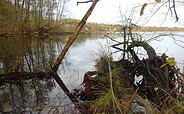 Am Todnitzsee, Foto: Sonja Betker, Lizenz: Tourismusverband Dahme-Seenland e.V.