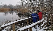 Blumberger Mühle, Foto: NABU, Lizenz: NABU