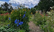 Garten der Blumberger Mühle, Foto: D.Schacknat, Lizenz: D.Schacknat
