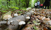 Naturparktage, Foto: Touristinformation Lychen, Lizenz: Touristinformation Lychen