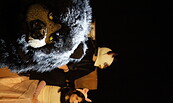 Honey and Justice, Foto: Flutlicht vom Offenen Kunstverein