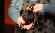 Frau Meier, die Amsel, Foto: Theater Zitadelle