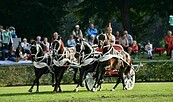 Die Altrömischen Quadrigen, Foto: Markus Hiltbrunner, Lizenz: pixabay